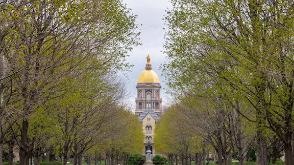 Notre Dame faculty receive competitive NSF early career awards