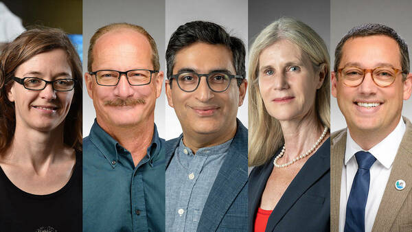 Five Notre Dame faculty elected AAAS Fellows as program celebrates 150th anniversary