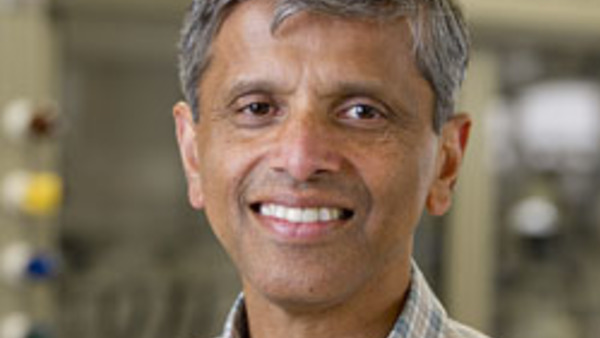Prashant Kamat named Highly Cited Researcher for 2019