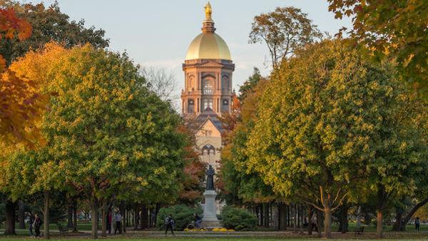 University of Notre Dame announces new associate vice president for research