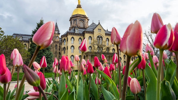 Notre Dame Research announces 2021 internal grant recipients