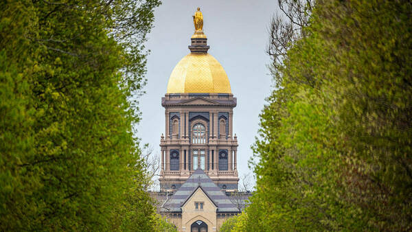 Awards honor Notre Dame faculty excellence
